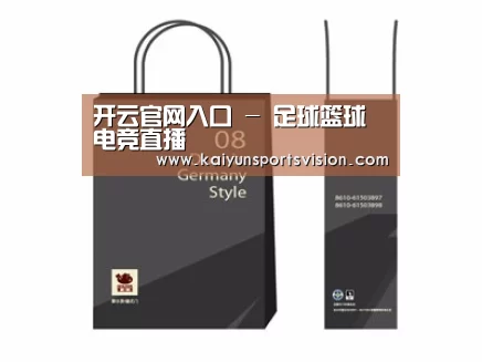 项目名称十四