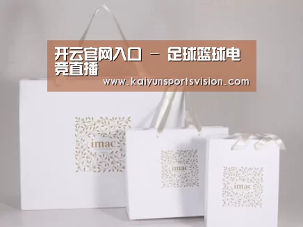 项目名称十一