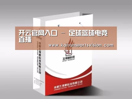 项目名称十三