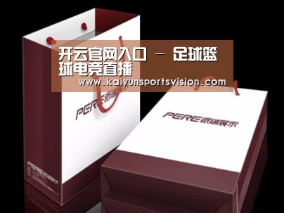 项目名称十二