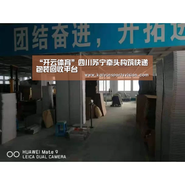“开云体育”四川苏宁牵头构筑快递包装回收平台(图1) 开云地址