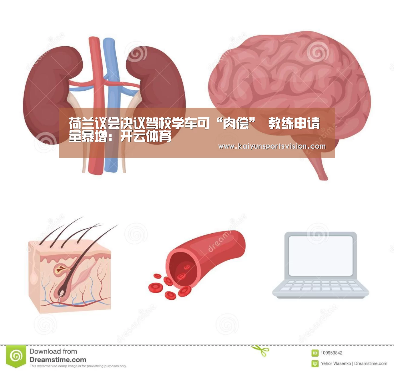 荷兰议会决议驾校学车可“肉偿” 教练申请量暴增:开云体育(图1) 开云入口