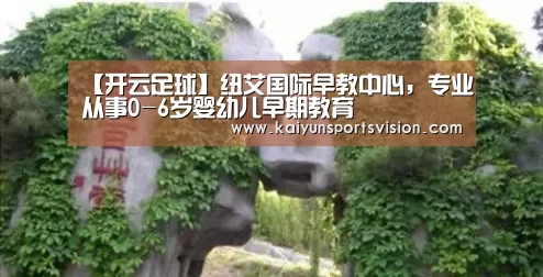 开云足球