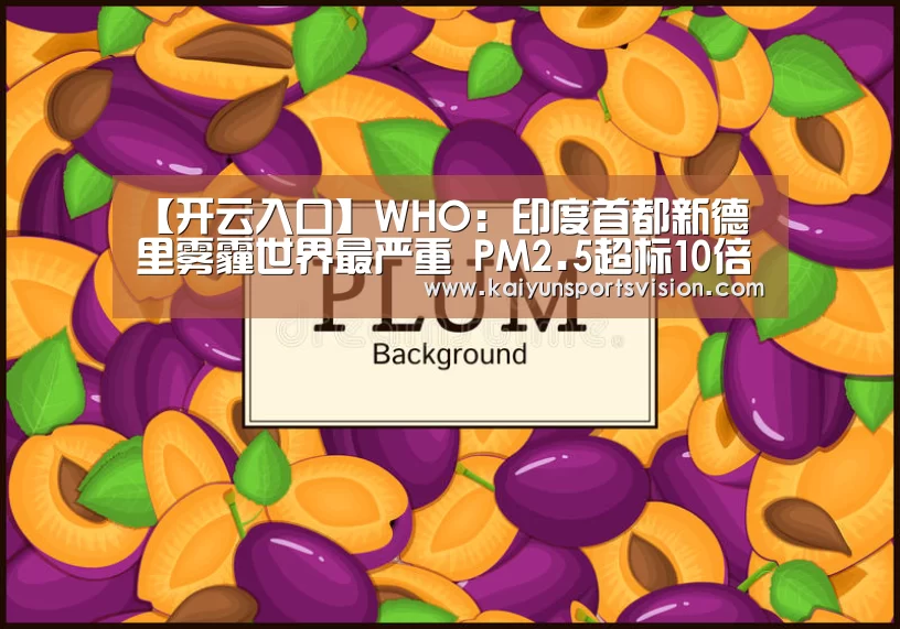 【开云入口】WHO:印度首都新德里雾霾世界最严重 PM2.5超标10倍(图1) 开云入口