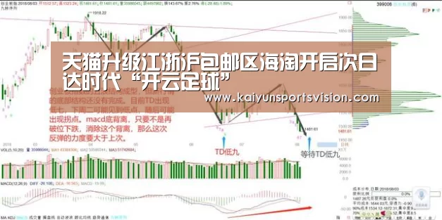 天猫升级江浙沪包邮区海淘开启次日达时代“开云足球”(图3) 开云入口