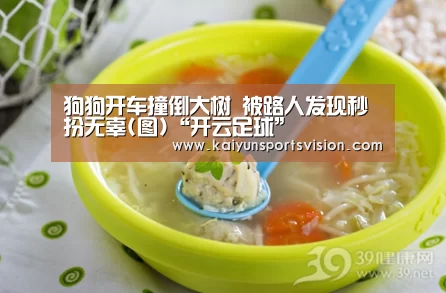 狗狗开车撞倒大树 被路人发现秒扮无辜(图)“开云足球”(图1) 开云体育
