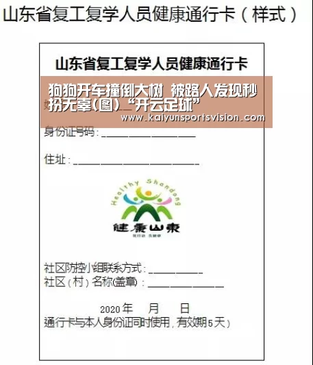 狗狗开车撞倒大树 被路人发现秒扮无辜(图)“开云足球”(图3) 开云足球