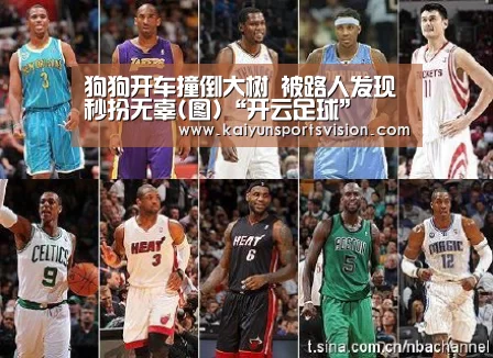 狗狗开车撞倒大树 被路人发现秒扮无辜(图)“开云足球”(图2) 开云地址