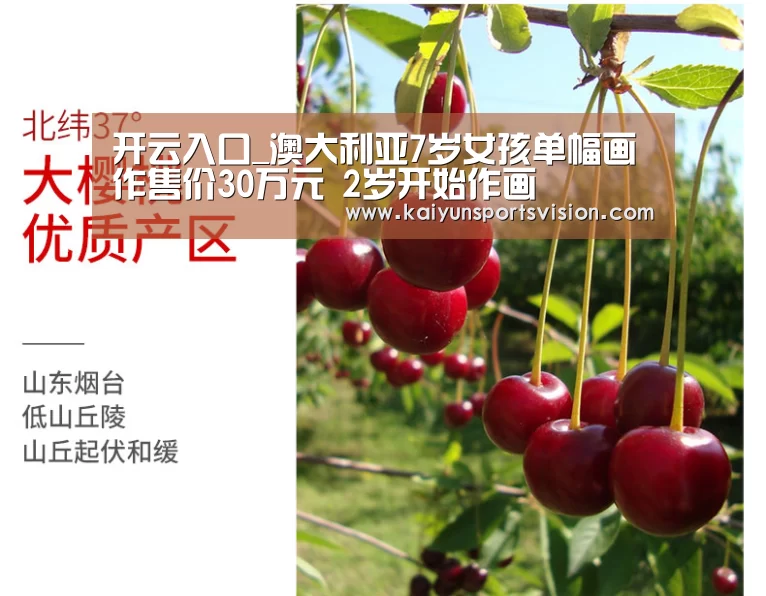 开云入口_澳大利亚7岁女孩单幅画作售价30万元 2岁开始作画(图2) 开云足球