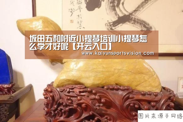坂田五和附近小提琴培训小提琴怎么学才好呢【开云入口】(图1) 开云足球