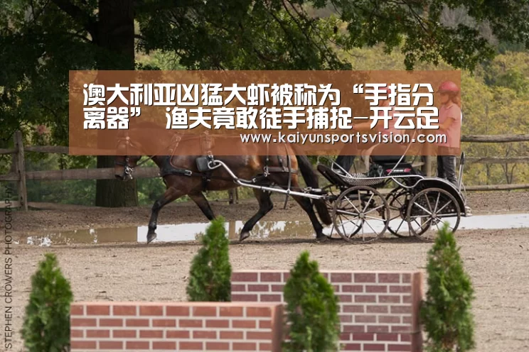澳大利亚凶猛大虾被称为“手指分离器” 渔夫竟敢徒手捕捉-开云足球(图1) 开云地址