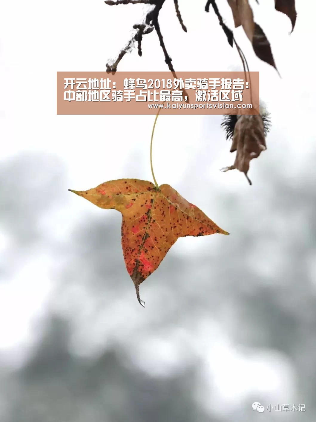 开云地址